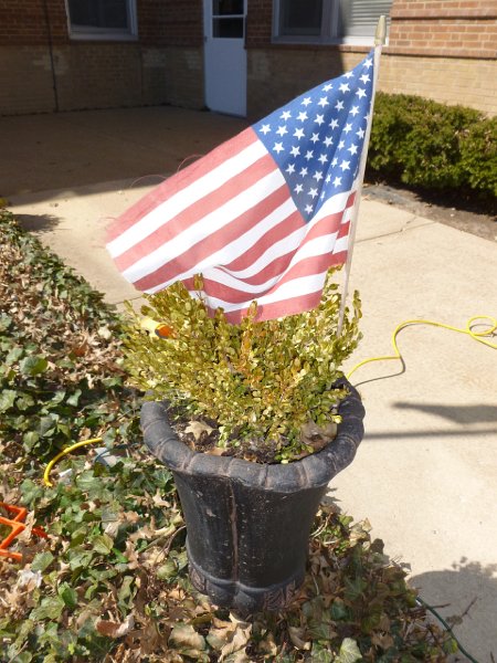 VA Garden March 2104 011